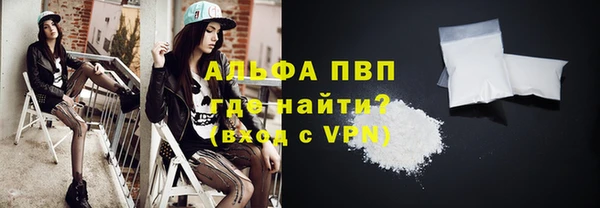 стаф Медногорск