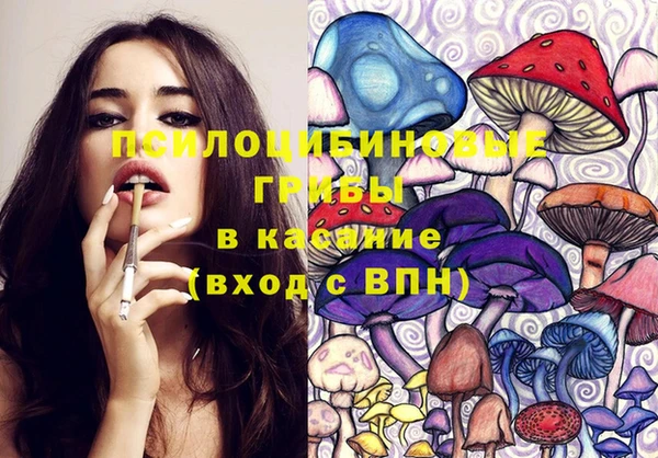 стаф Медногорск