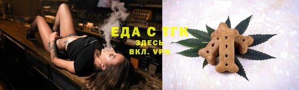 стаф Медногорск