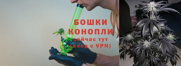 стаф Медногорск