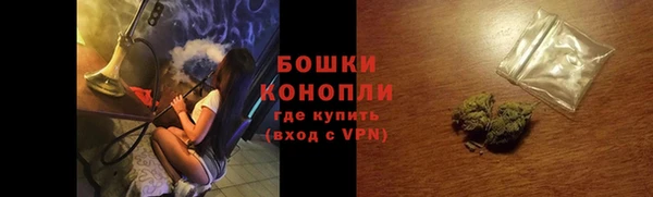 стаф Медногорск