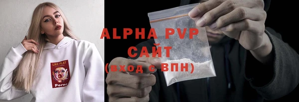 стаф Медногорск