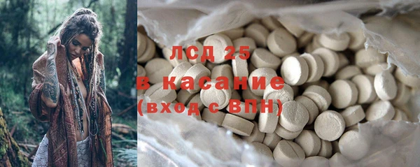 стаф Медногорск